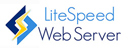 LiteSpeed Web Server, LiteSpeed Cache